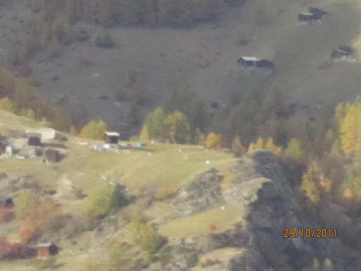 Chalet Sven & Marc Graechen, Niedergraechen Vallis 圣尼克劳斯 外观 照片